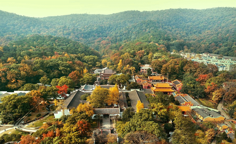 張家界跟團(tuán)游,張家界旅游攻略5天自由行,張家界自駕游,張家界旅游路線攻略,張家界中國(guó)國(guó)際旅行社