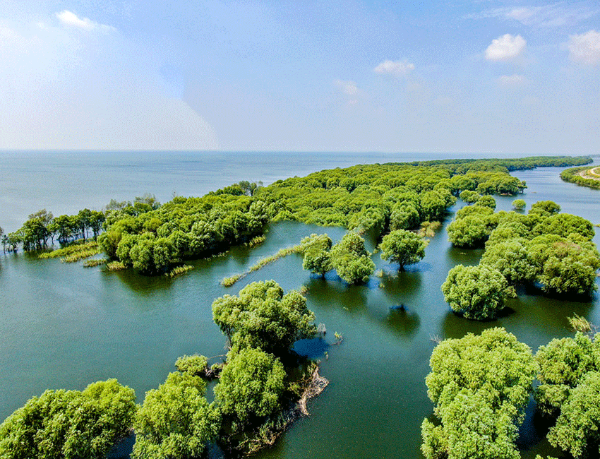 張家界跟團(tuán)游,張家界旅游攻略5天自由行,張家界自駕游,張家界旅游路線攻略,張家界中國(guó)國(guó)際旅行社